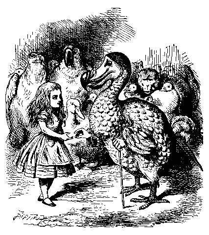 juurikaan auttanut tilannetta. Vasta vuonna 1848 ilmestynyt Stricklandin ja Melvillen teos The Dodo and Its Kindred nostivat jälleen sulkien arvoa.