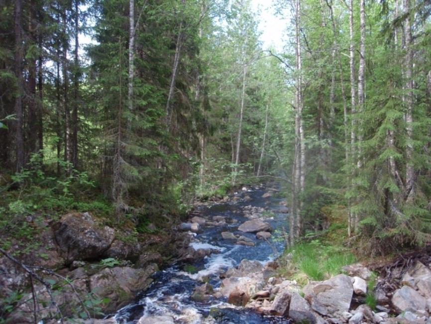 KAJAANIN KAUPUNKI 32 Suunnittelualueella on useita lampia ja puroja. Suurin järvi on suunnittelualueen itäosassa sijaitseva Petäjäjärvi.