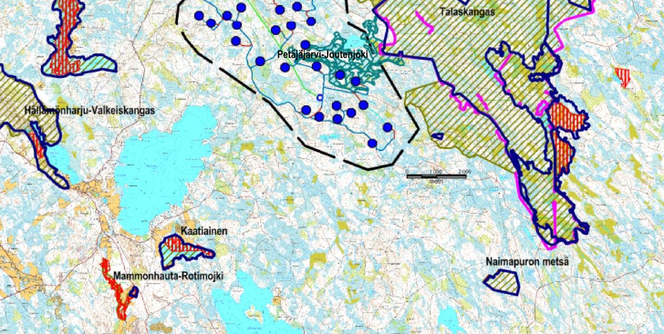 KAJAANIN KAUPUNKI 49 (SCI). Alue kuuluu harjujensuojeluohjelmaan alueena Hällämönharju-Valkeiskangas (Ison Ahvenjärven harju (HSO080067).