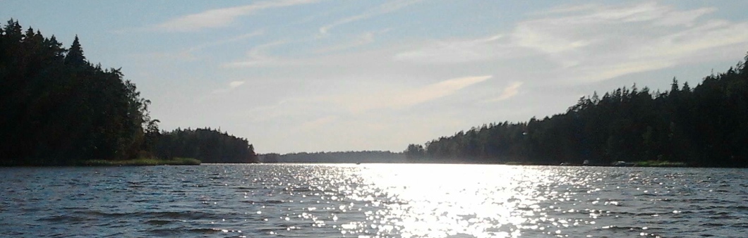 Näkymä Insjön salmelta suunnittelualueelta länteen päin. Insjön, vy från planeringsområdet västerut.