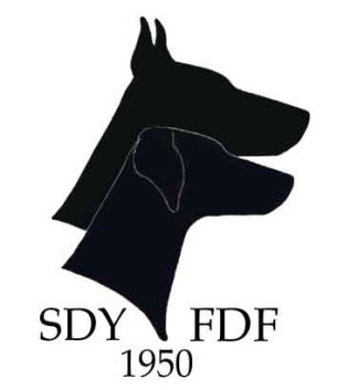 1(6) Suomen Dobermannyhdistys Finlands Dobermannförening ry Ylimääräinen yleiskokous 31.7.