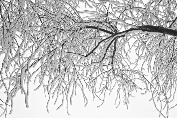 Helmikuu Lumihuurteiset puut kuin helminauha valkeaa tietä reunustaa. Talven ensimmäiset auringon säteet oksien lomista pilkottaa.