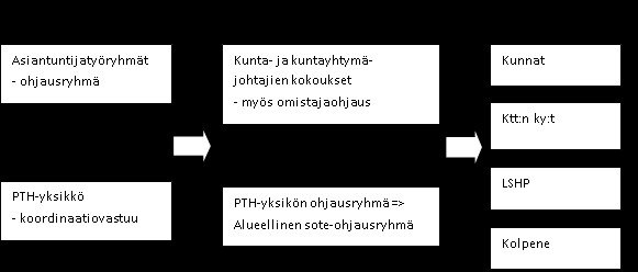 Järjestämissuunnitelmaan liittyvien sote-asioiden