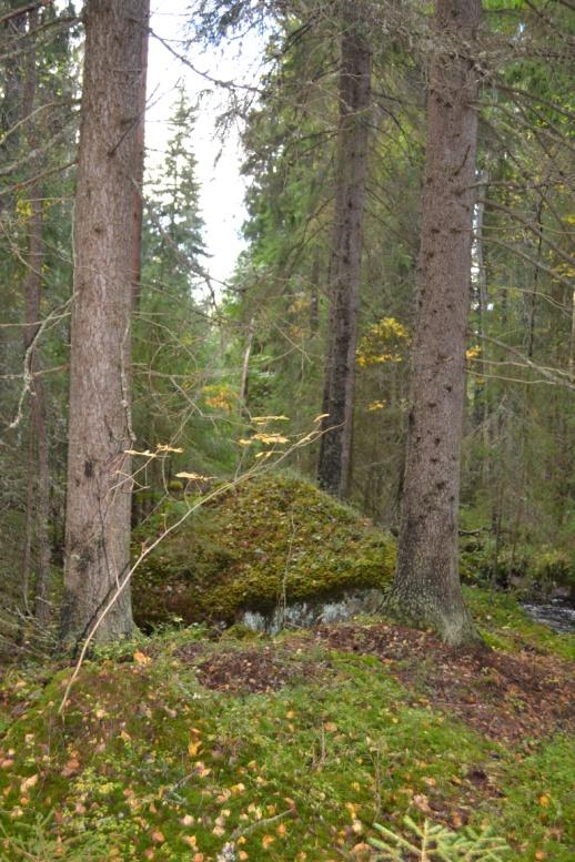 Karvianjoen kosket Kuvat