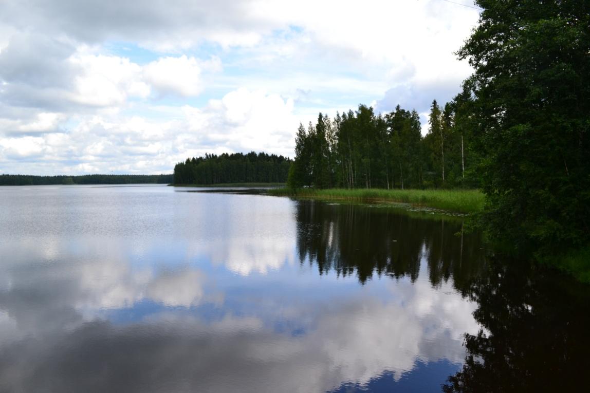 Inhottujärvi Lehtisalonnokka Passilahti Kuvat Johanna Rinne,