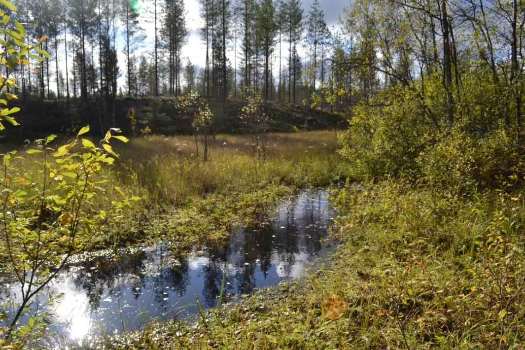 Natura 2000-kohteiden hoito ja käyttö 1/3 Natura-alueiden hoito- ja käyttösuunnitelmia