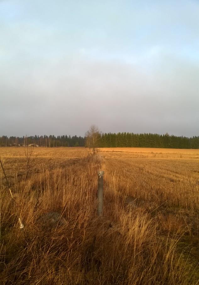 Pohjavesialueen geologinen rakenneselvitys 7 Lahelan pohjavesialue, Tuusula Kuva 5 Pohjavesiputki GTK 6/05 peltoaukealla, pohjavesialueen eteläpuolella Kuvaussuunta on kohti pohjoista Kuva: T