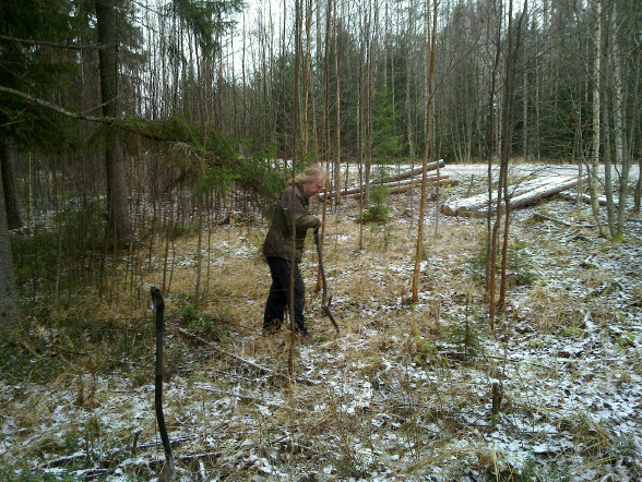 14 RUOVESI RUOJÄRVI VANHATIE 8 2 (PMM:n tulkintaohjeen mukaan) Koordin: N: 6879 333 E: 344 330 Z: 107 ±1 m X: 6878 656 Y: 2501 530 P: 6882 218 I: 3344 438 Paikka sijaitsee Ruoveden kirkosta 4,20 km