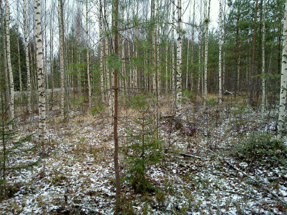 9 Vanhatie 3, pohjoisosa, etelään.