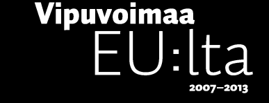 .. 3 2.5 Innovointitoiminnan imagon nosto... 3 3. Aikataulu ja etapit... 4 4. Toimijat... 4 4.1 Projektiorganisaatio... 4 4.2 Verkostot ja sidosryhmät ja toimintamuodot niiden välillä... 5 5. t... 6 5.