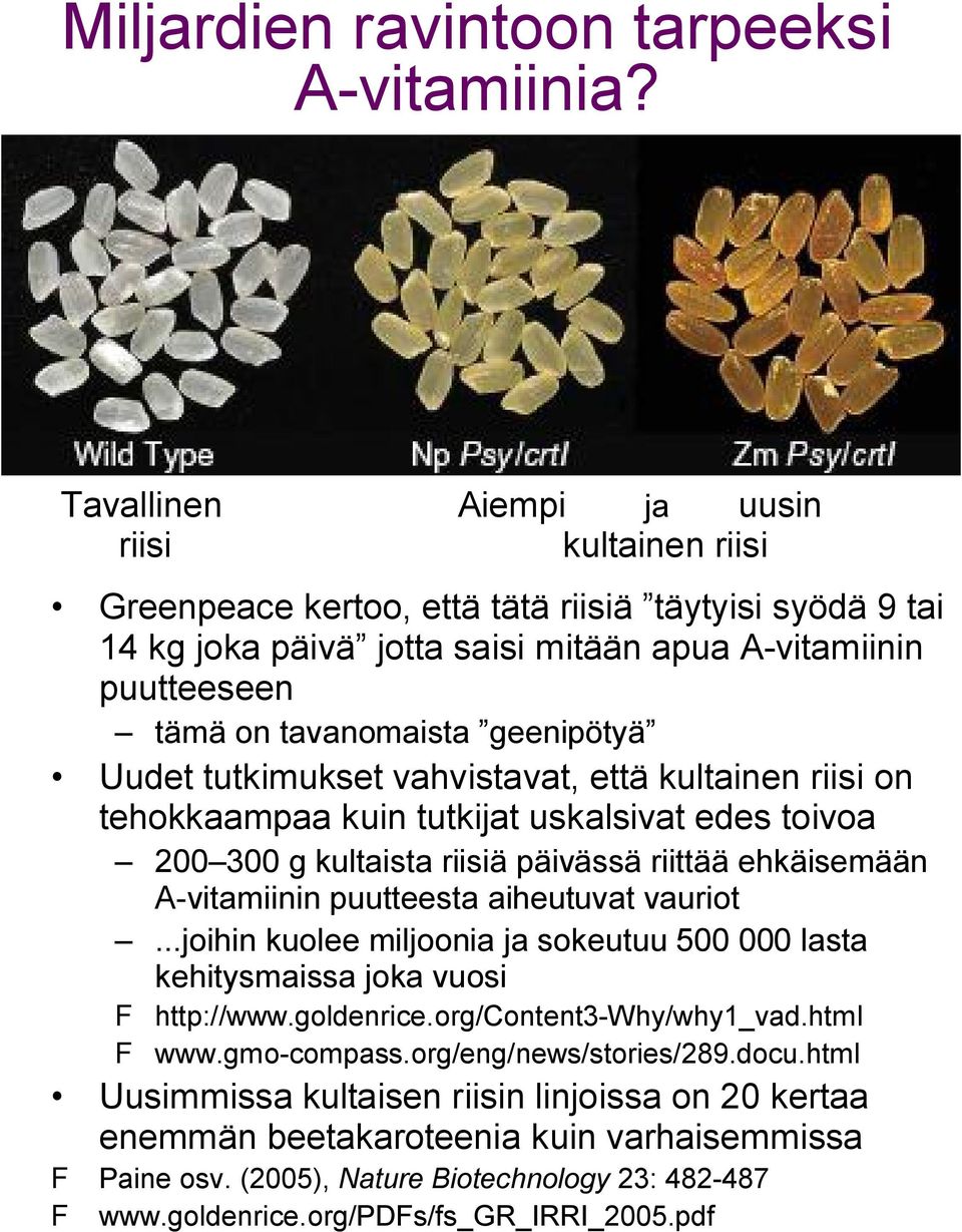 geenipötyä Uudet tutkimukset vahvistavat, että kultainen riisi on tehokkaampaa kuin tutkijat uskalsivat edes toivoa 200 300 g kultaista riisiä päivässä riittää ehkäisemään A-vitamiinin puutteesta