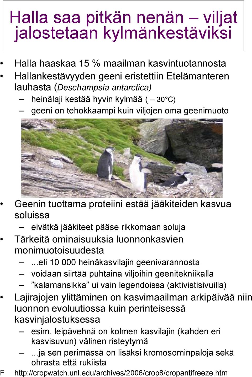 ominaisuuksia luonnonkasvien monimuotoisuudesta.