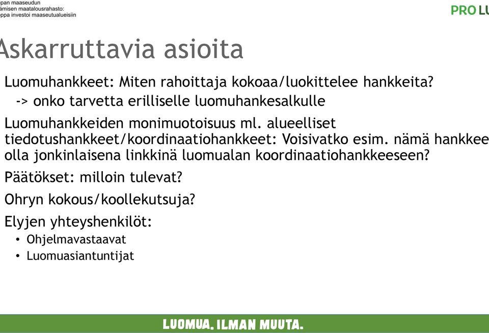 alueelliset tiedotushankkeet/koordinaatiohankkeet: Voisivatko esim.