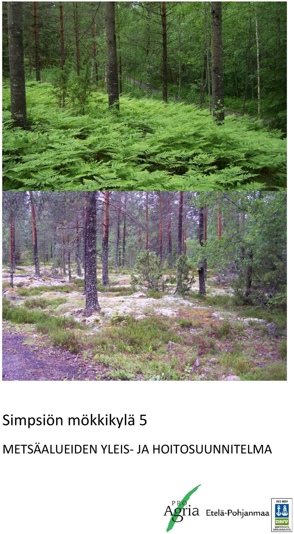 METSÄALUEIDEN