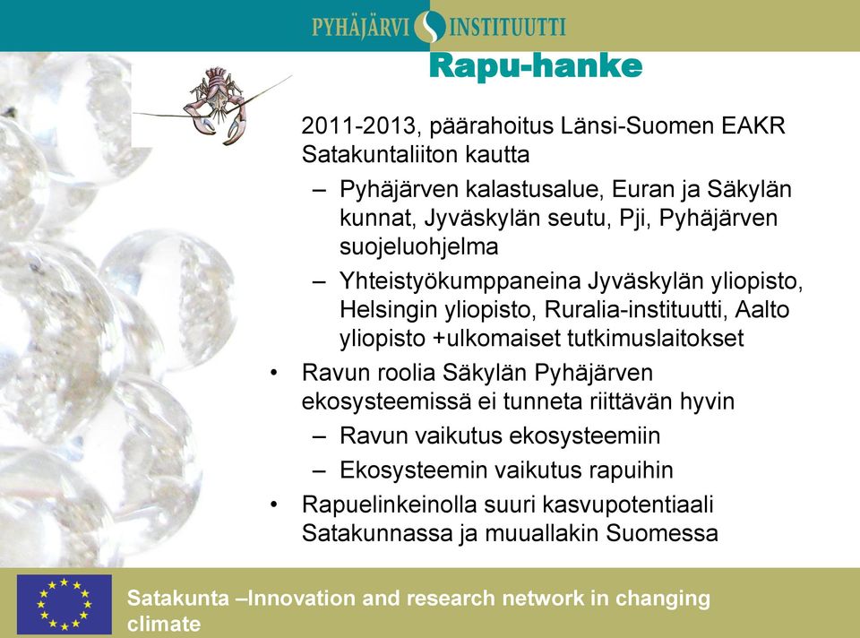 tutkimuslaitokset Ravun roolia Säkylän Pyhäjärven ekosysteemissä ei tunneta riittävän hyvin Ravun vaikutus ekosysteemiin Ekosysteemin vaikutus