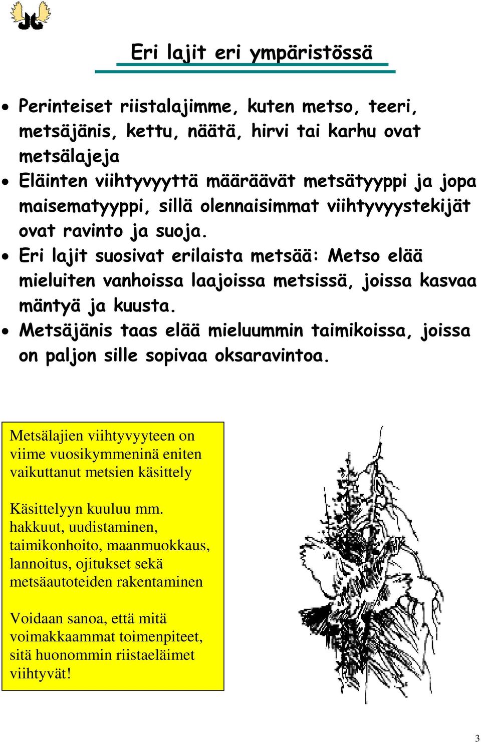 0HWVlMlQLVWDDVHOllPLHOXXPPLQWDLPLNRLVVDMRLVVD RQSDOMRQVLOOHVRSLYDDRNVDUDYLQWRD Metsälajien viihtyvyyteen on viime vuosikymmeninä eniten vaikuttanut metsien käsittely Käsittelyyn