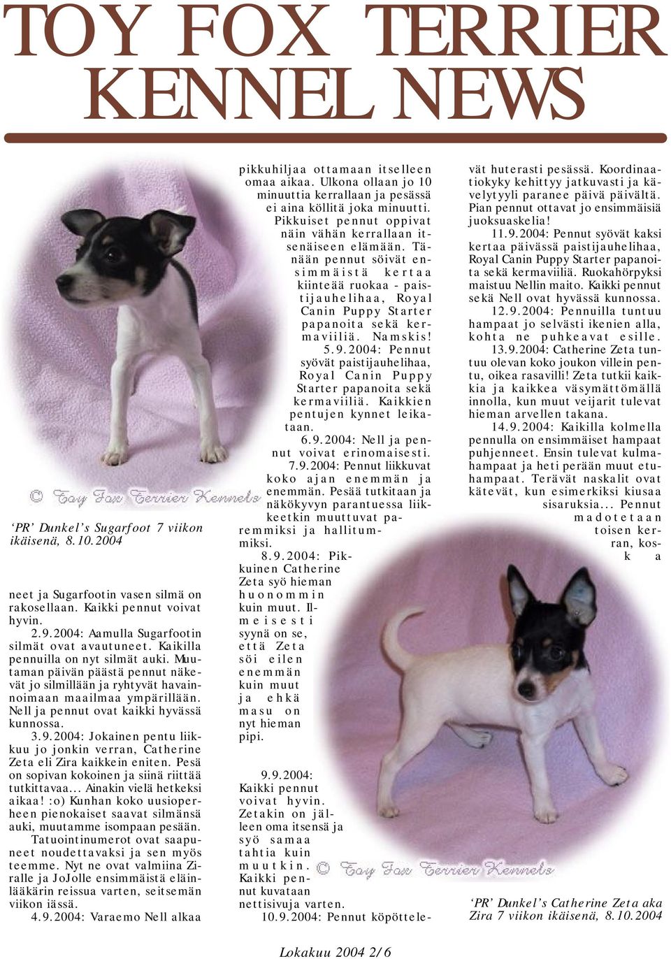 2004: Jokainen pentu liikkuu jo jonkin verran, Catherine Zeta eli Zira kaikkein eniten. Pesä on sopivan kokoinen ja siinä riittää tutkittavaa... Ainakin vielä hetkeksi aikaa!