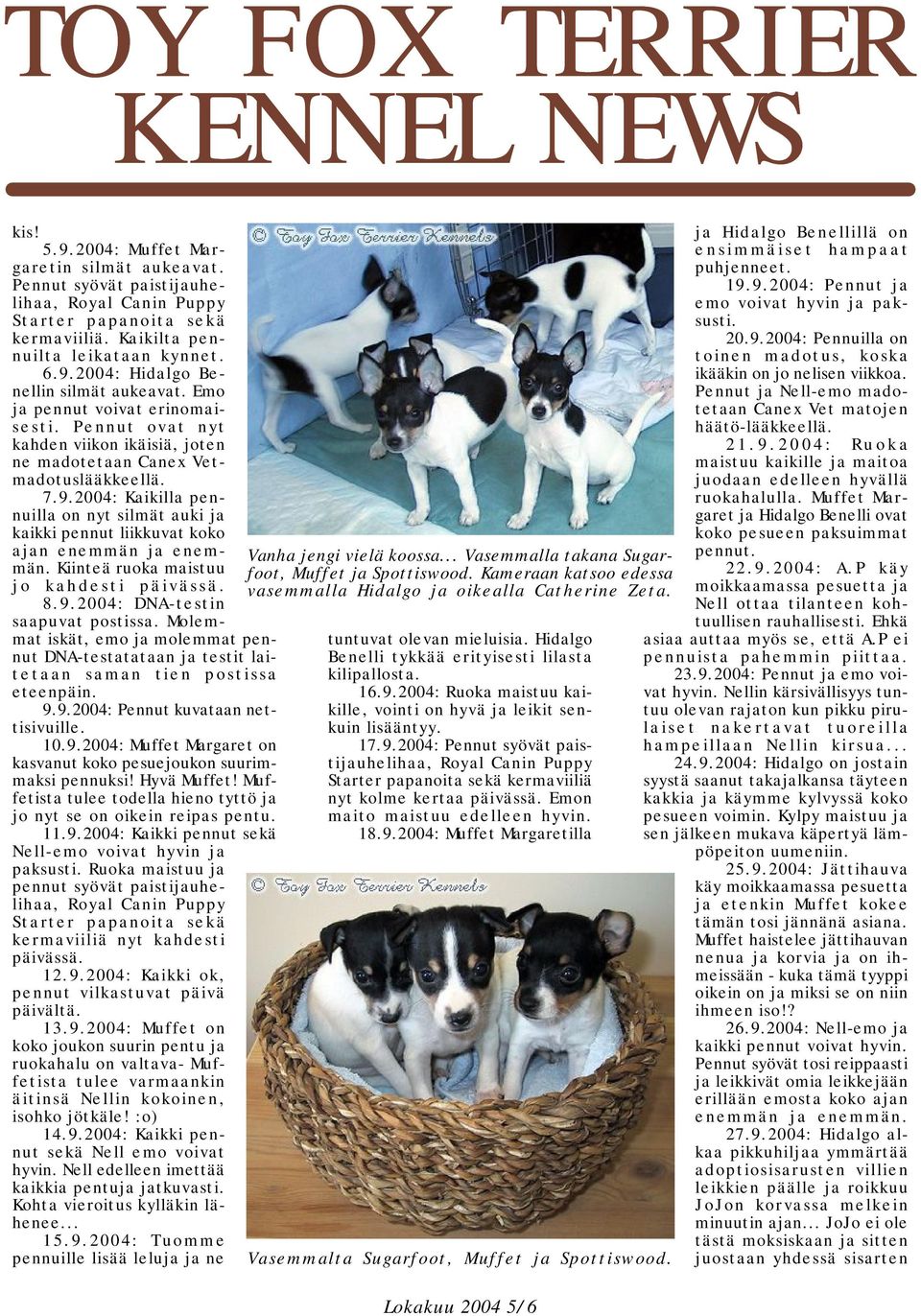 2004: Kaikilla pennuilla on nyt silmät auki ja kaikki pennut liikkuvat koko ajan enemmän ja enemmän. Kiinteä ruoka maistuu jo kahdesti päivässä. 8.9.2004: DNA-testin saapuvat postissa.