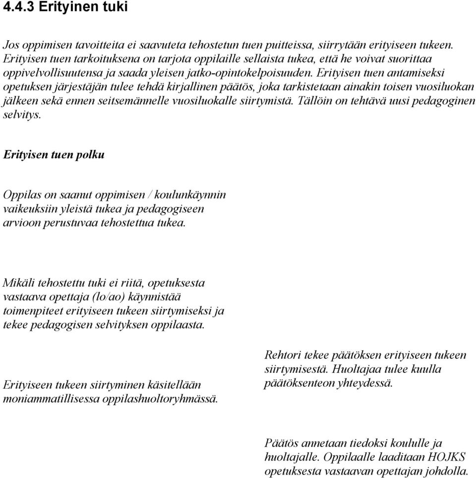 Erityisen tuen antamiseksi opetuksen järjestäjän tulee tehdä kirjallinen päätös, joka tarkistetaan ainakin toisen vuosiluokan jälkeen sekä ennen seitsemännelle vuosiluokalle siirtymistä.