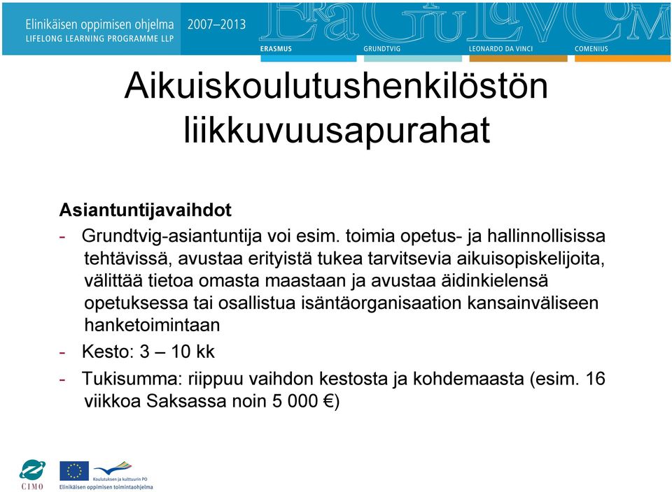 tietoa omasta maastaan ja avustaa äidinkielensä opetuksessa tai osallistua isäntäorganisaation kansainväliseen