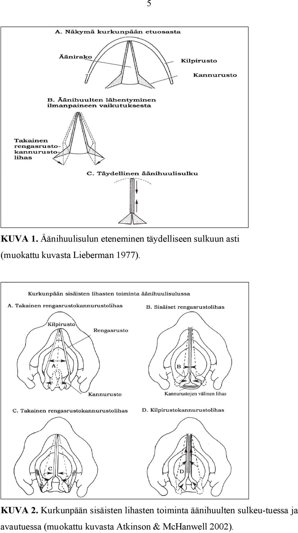 (muokattu kuvasta Lieberman 1977). KUVA 2.