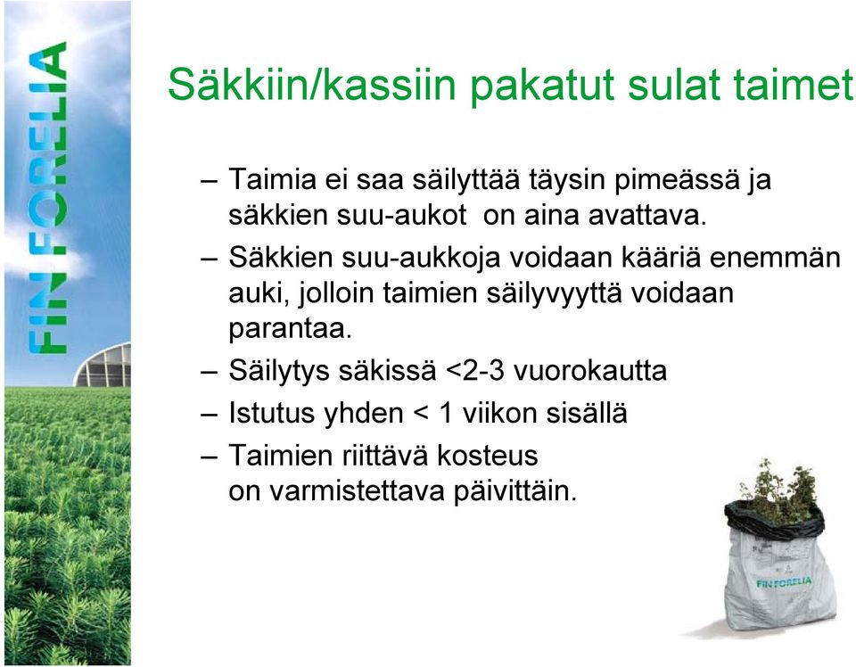 Säkkien suu-aukkoja voidaan kääriä enemmän auki, jolloin taimien säilyvyyttä