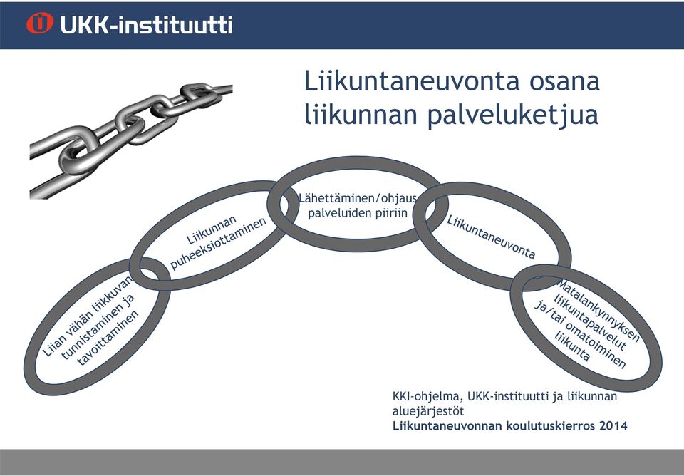 piiriin KKI-ohjelma, UKK-instituutti ja