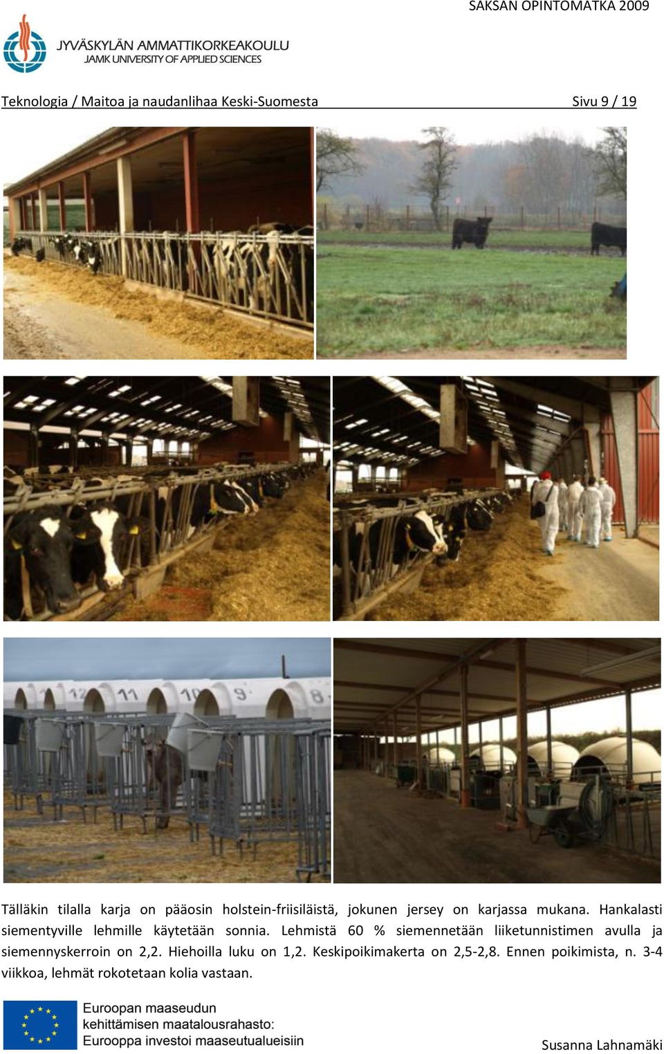 Hankalasti siementyville lehmille käytetään sonnia.