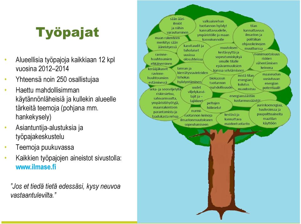 hankekysely) Asiantuntija-alustuksia ja työpajakeskustelu Teemoja puukuvassa Kaikkien työpajojen aineistot