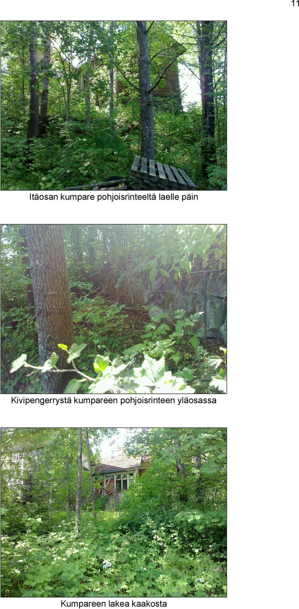 Kivipengerrystä kumpareen