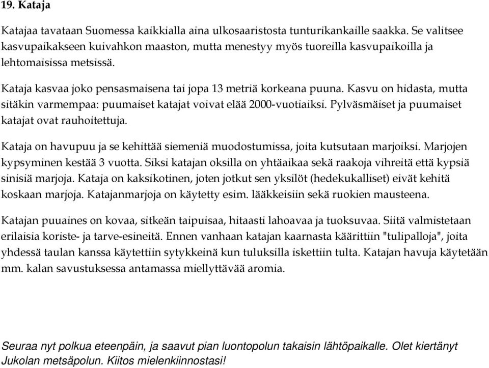 Kasvu on hidasta, mutta sitäkin varmempaa: puumaiset katajat voivat elää 2000-vuotiaiksi. Pylväsmäiset ja puumaiset katajat ovat rauhoitettuja.