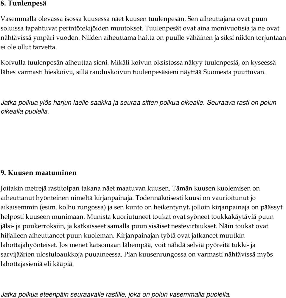 Koivulla tuulenpesän aiheuttaa sieni. Mikäli koivun oksistossa näkyy tuulenpesiä, on kyseessä lähes varmasti hieskoivu, sillä rauduskoivun tuulenpesäsieni näyttää Suomesta puuttuvan.