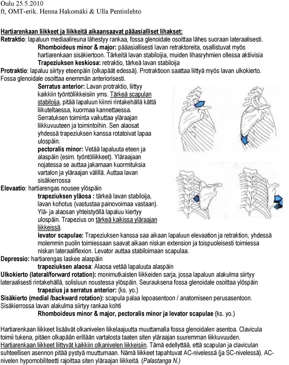 Tärkeitä lavan stabiloijia, muiden lihasryhmien ollessa aktiivisia Trapeziuksen keskiosa: retraktio, tärkeä lavan stabiloija Protraktio: lapaluu siirtyy eteenpäin (olkapäät edessä).