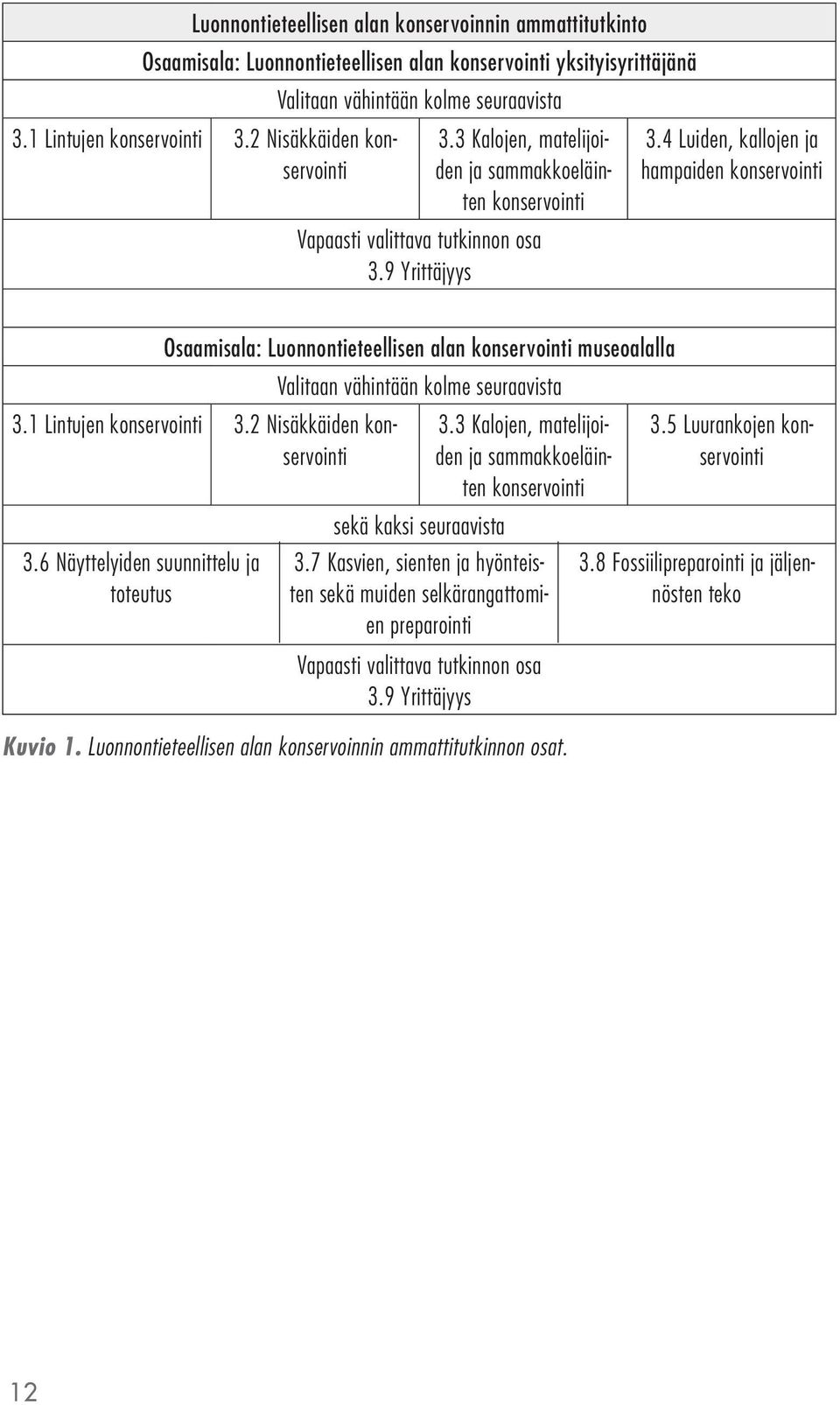 4 Luiden, kallojen ja hampaiden konservointi Osaamisala: Luonnontieteellisen alan konservointi museoalalla Valitaan vähintään kolme seuraavista 3.1 Lintujen konservointi 3.