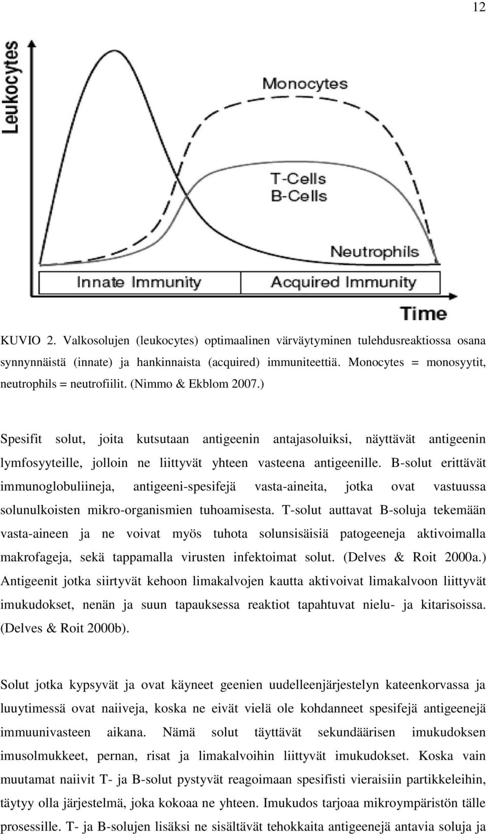 ) Spesifit solut, joita kutsutaan antigeenin antajasoluiksi, näyttävät antigeenin lymfosyyteille, jolloin ne liittyvät yhteen vasteena antigeenille.