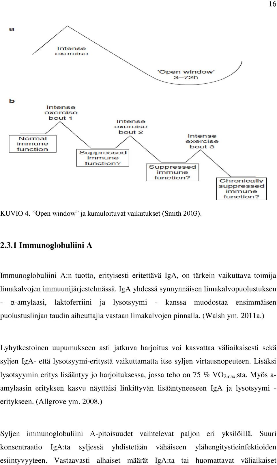 IgA yhdessä synnynnäisen limakalvopuolustuksen - α-amylaasi, laktoferriini ja lysotsyymi - kanssa muodostaa ensimmäisen puolustuslinjan taudin aiheuttajia vastaan limakalvojen pinnalla. (Walsh ym.