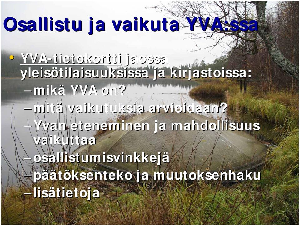 mitä vaikutuksia arvioidaan?