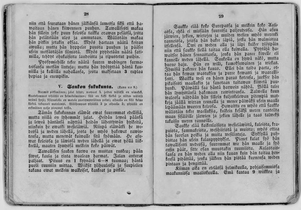 StttyöS jaetaan näätä foiran amulla; mutta päti tytyp^elee puusta puuhun ja pääfee ufein metfästäjän filmistä. 59?