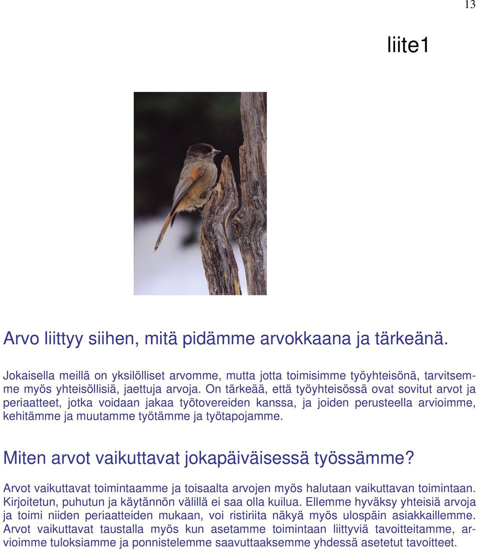 Miten arvot vaikuttavat jokapäiväisessä työssämme? Arvot vaikuttavat toimintaamme ja toisaalta arvojen myös halutaan vaikuttavan toimintaan.