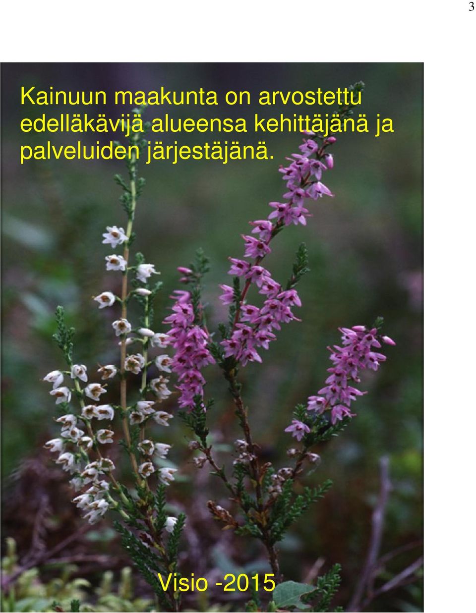 alueensa kehittäjänä ja