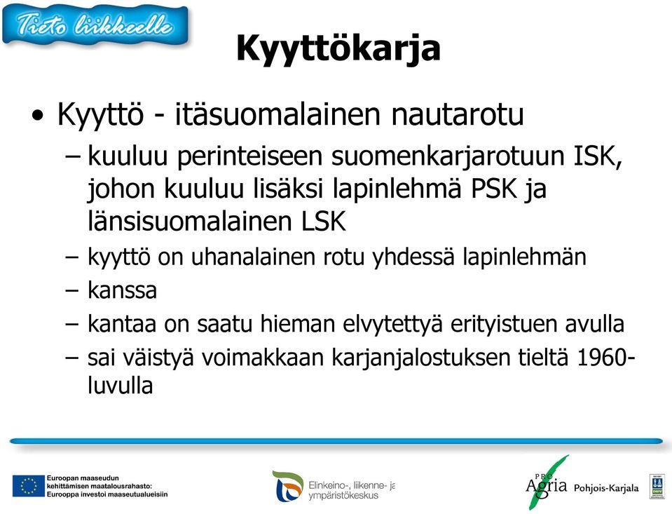 LSK kyyttö on uhanalainen rotu yhdessä lapinlehmän kanssa kantaa on saatu