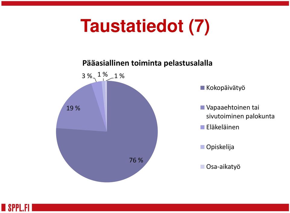 19 % Vapaaehtoinen tai sivutoiminen