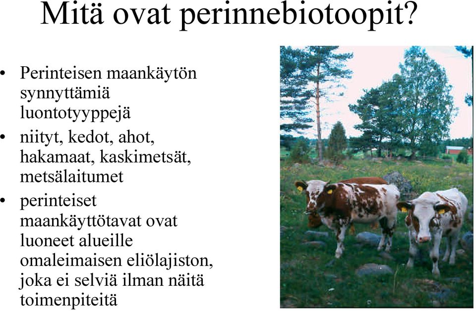 kedot, ahot, hakamaat, kaskimetsät, metsälaitumet perinteiset