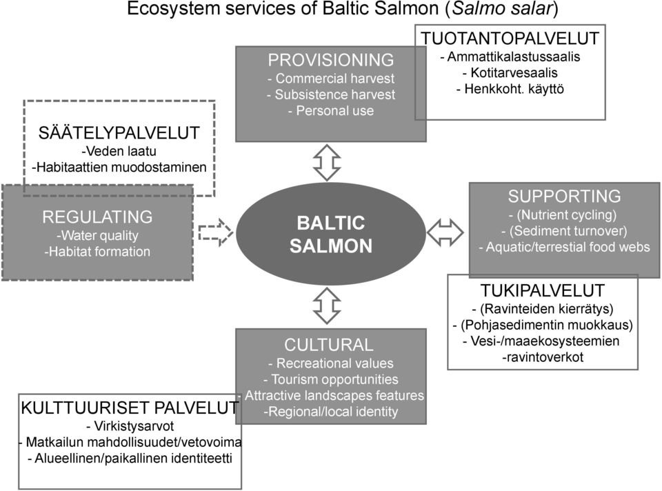 käyttö REGULATING -Water quality -Habitat formation BALTIC SALMON SUPPORTING - (Nutrient cycling) - (Sediment turnover) - Aquatic/terrestial food webs KULTTUURISET PALVELUT -