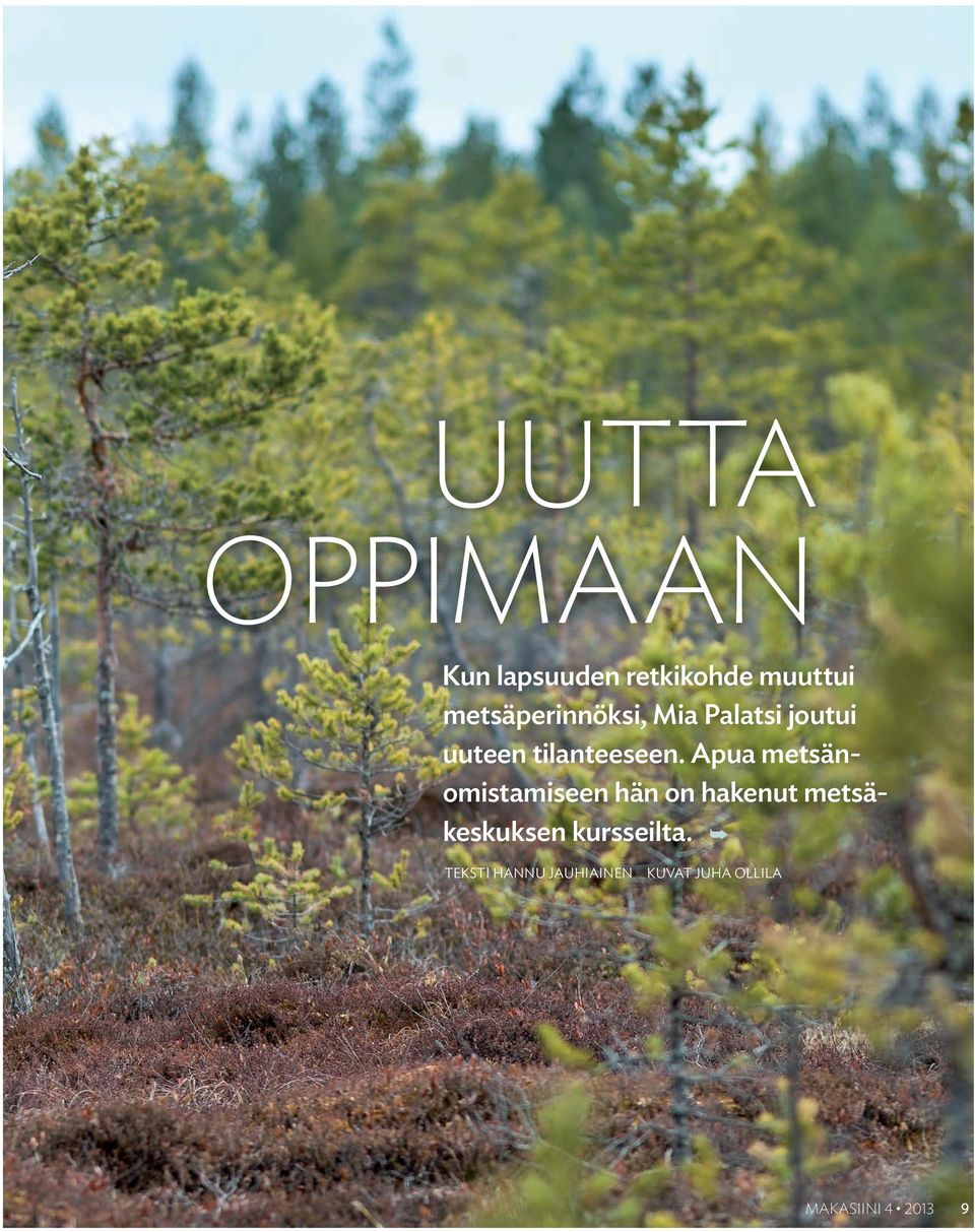 Apua metsänomistamiseen hän on hakenut metsäkeskuksen