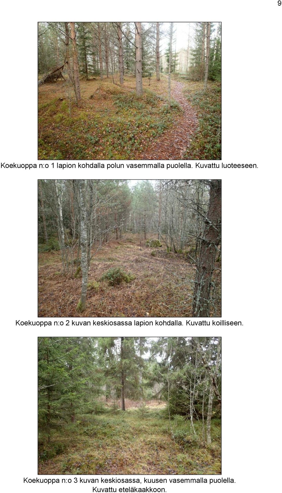 Koekuoppa n:o 2 kuvan keskiosassa lapion kohdalla.