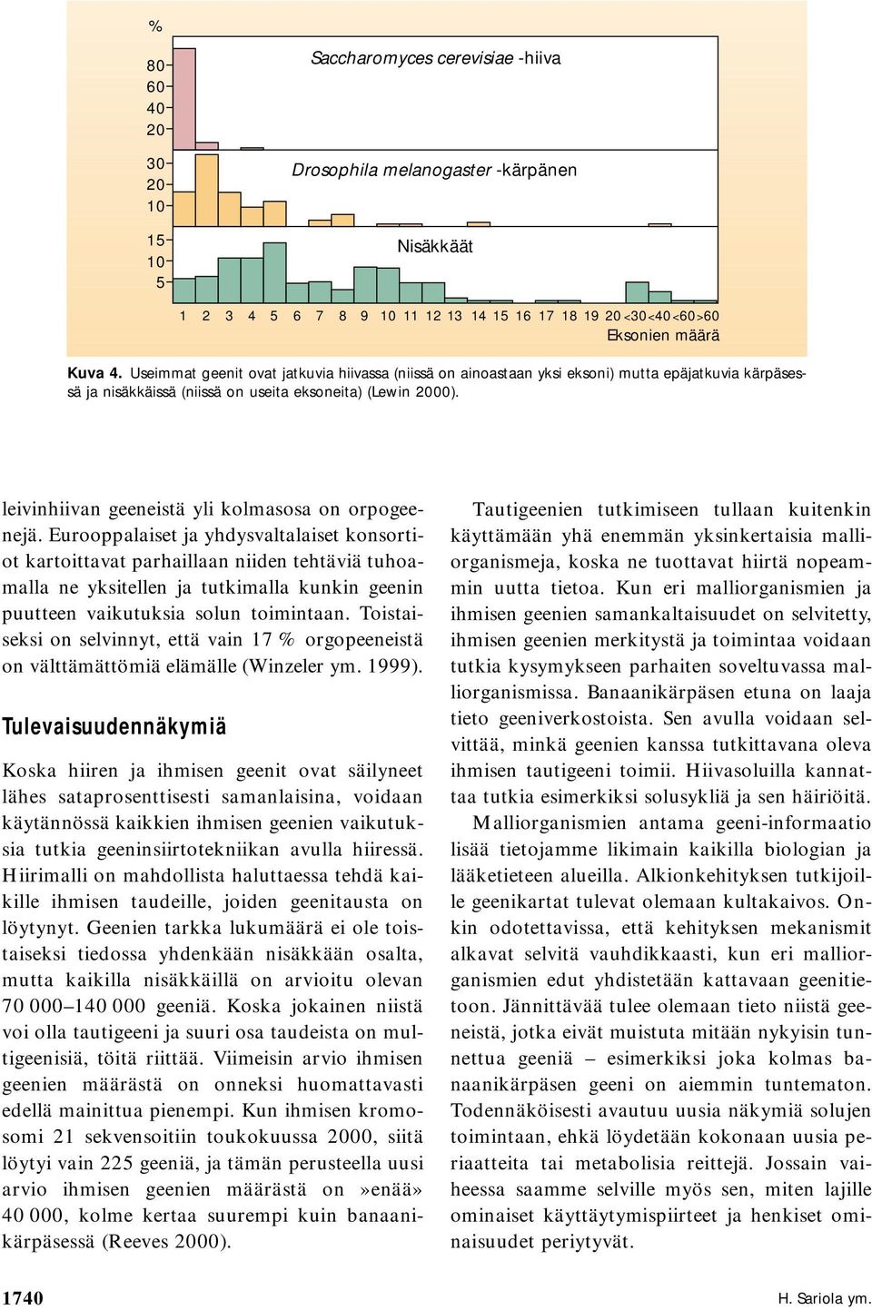 leivinhiivan geeneistä yli kolmasosa on orpogeenejä.