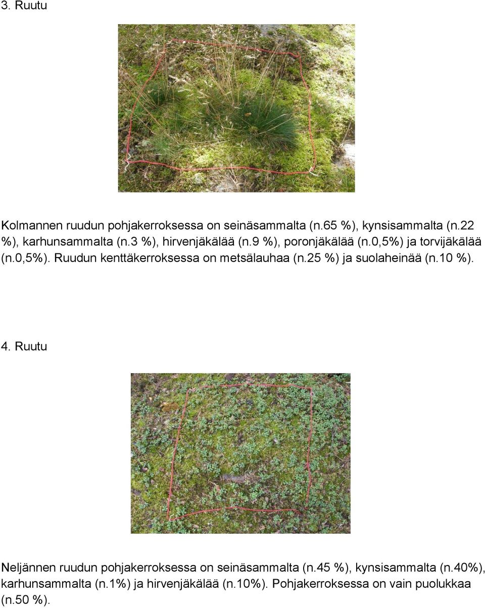 25 %) ja suolaheinää (n.10 %). 4. Ruutu Neljännen ruudun pohjakerroksessa on seinäsammalta (n.