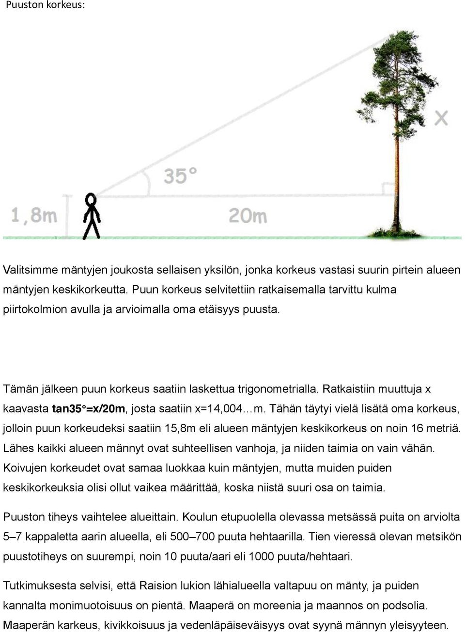 Ratkaistiin muuttuja x kaavasta tan35 =x/20m, josta saatiin x=1 jolloin puun korkeudeksi saatiin 15,8m eli alueen mäntyjen keskikorkeus on noin 16 metriä.