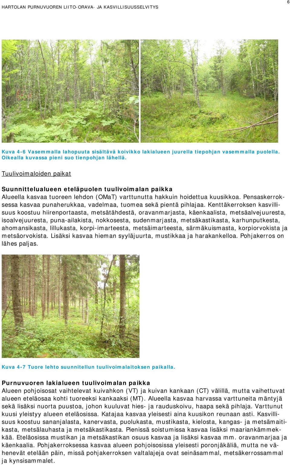 Pensaskerroksessa kasvaa punaherukkaa, vadelmaa, tuomea sekä pientä pihlajaa.